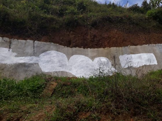 WhatsApp Image 2019 01 15 at 2.23.44 PM 1