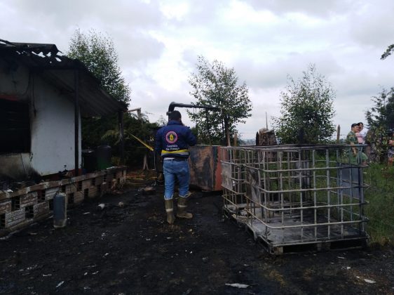 WhatsApp Image 2019 02 09 at 2.47.20 PM 5