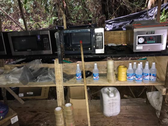 WhatsApp Image 2019 02 10 at 7.36.10 PM