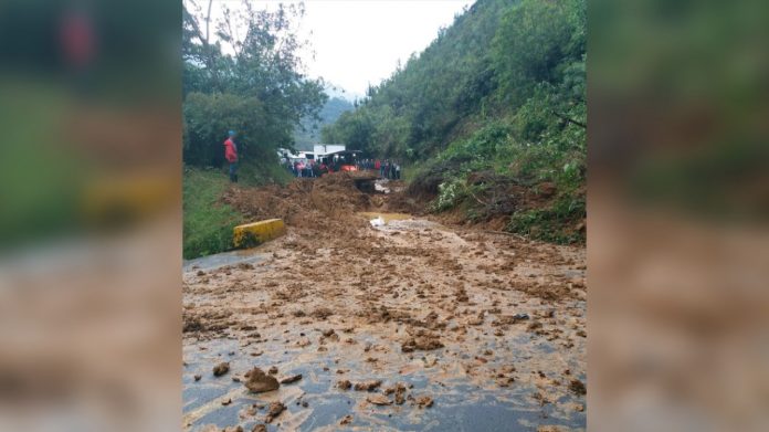 whatsapp-image-2019-02-12-at-10-58-13-am