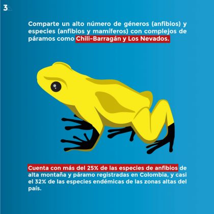 Páramo de Sonsón 3