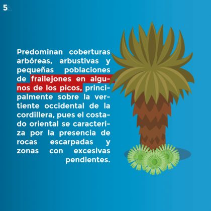 Páramo de Sonsón 5