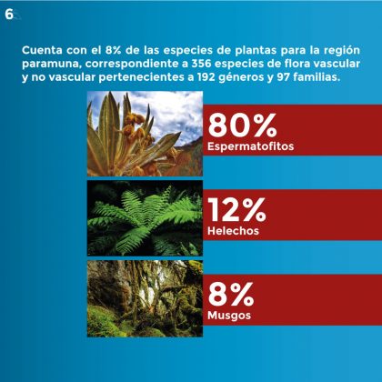 Páramo de Sonsón 6