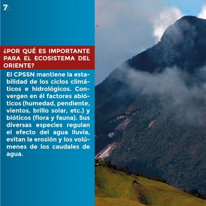 Páramo de Sonsón 7