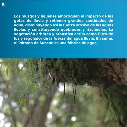 Páramo de Sonsón 8