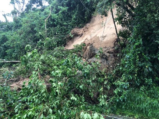 WhatsApp Image 2019 05 27 at 8.35.20 AM 1