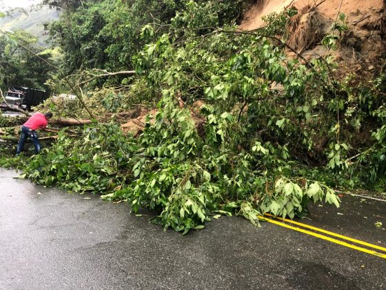 WhatsApp Image 2019 05 27 at 8.35.20 AM 2