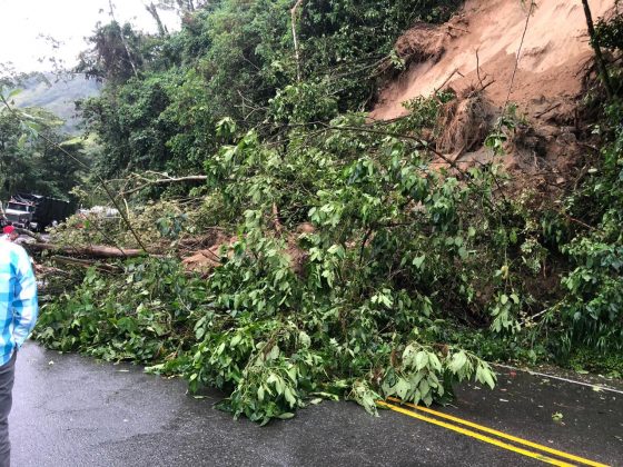 WhatsApp Image 2019 05 27 at 8.35.20 AM 3