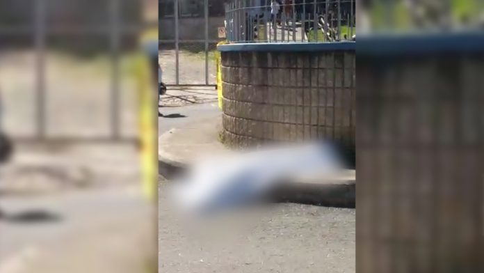 levantamiento-marinilla