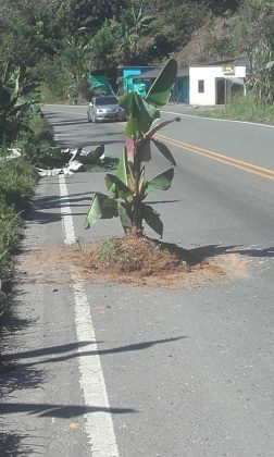 WhatsApp Image 2019 06 04 at 10.50.59 AM 1