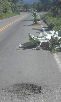 WhatsApp Image 2019 06 04 at 10.50.59 AM 2