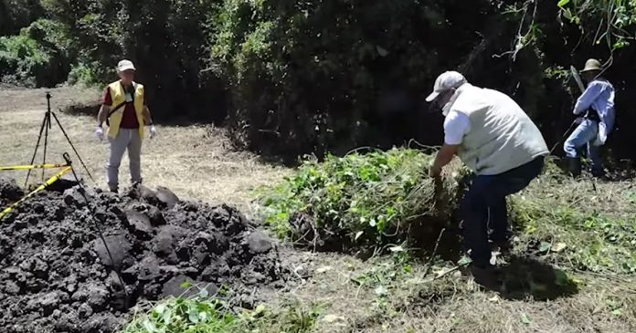 erradicacionojopoeta