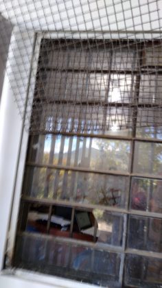 WhatsApp Image 2019 07 05 at 11.06.29 AM 1 copia copia