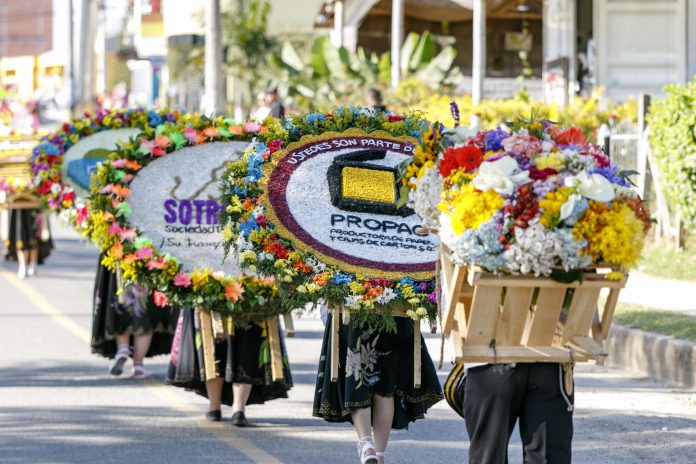 desfile-silleteros-48