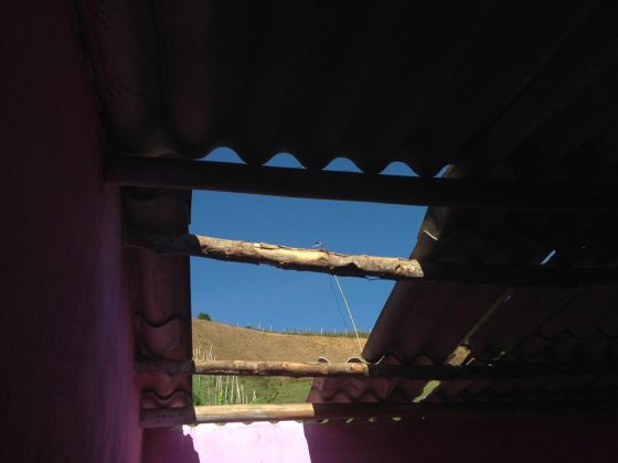 WhatsApp Image 2019 09 12 at 2.59.47 PM