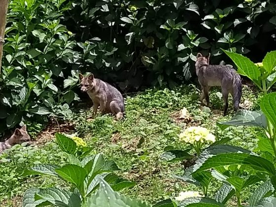 WhatsApp Image 2019 09 18 at 2.38.54 PM 1