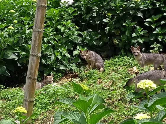 WhatsApp Image 2019 09 18 at 2.45.38 PM 1