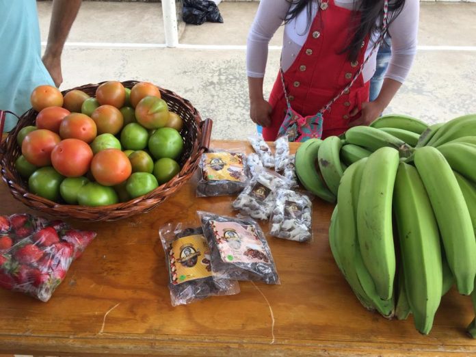 productividad-frutas-campesinos