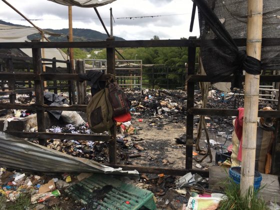 WhatsApp Image 2019 11 06 at 11.16.53 AM 3