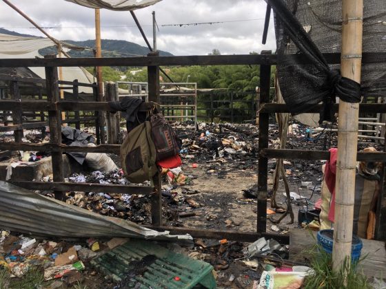 WhatsApp Image 2019 11 06 at 11.16.53 AM 4