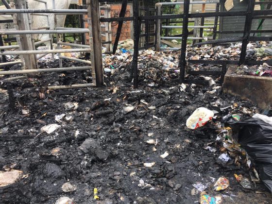 WhatsApp Image 2019 11 06 at 11.16.53 AM