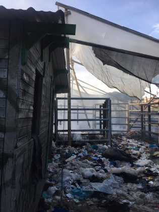 WhatsApp Image 2019 11 06 at 11.16.54 AM 1