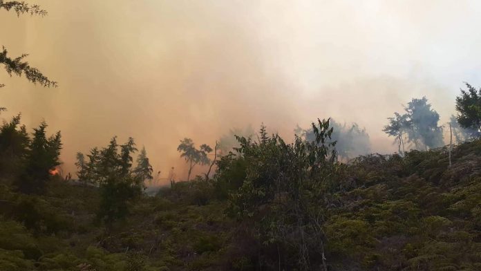 whatsapp-image-2020-02-18-at-3-44-09-pm