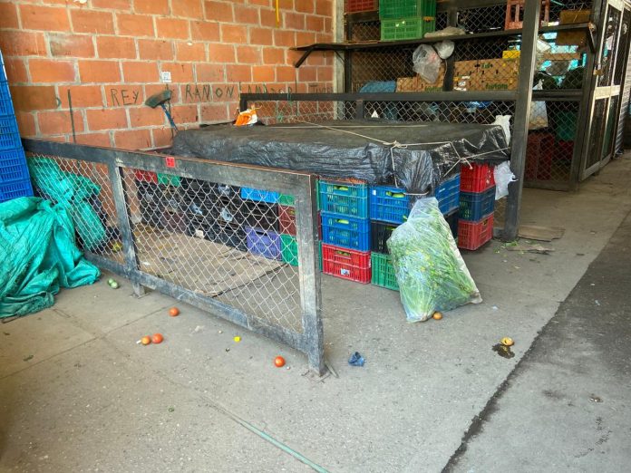 whatsapp-image-2020-07-13-at-1-04-54-pm