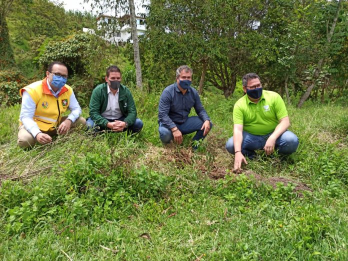 e167410d-646e-41c0-87cb-43e3c3832e1c