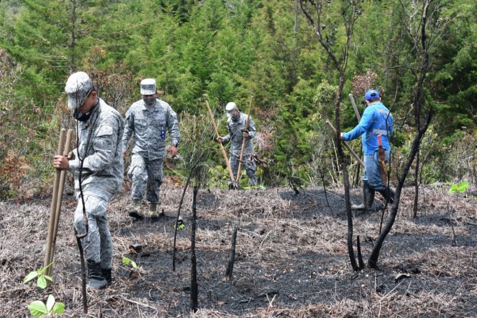 2acf579b-241f-4e88-a2f3-7702ec09dbe4