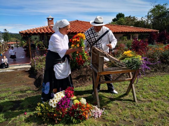 WhatsApp Image 2020 08 06 at 12.50.47 PM