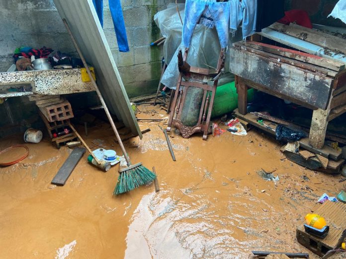 dd342fb5-84a0-4c73-8d74-8bd5db31c02d