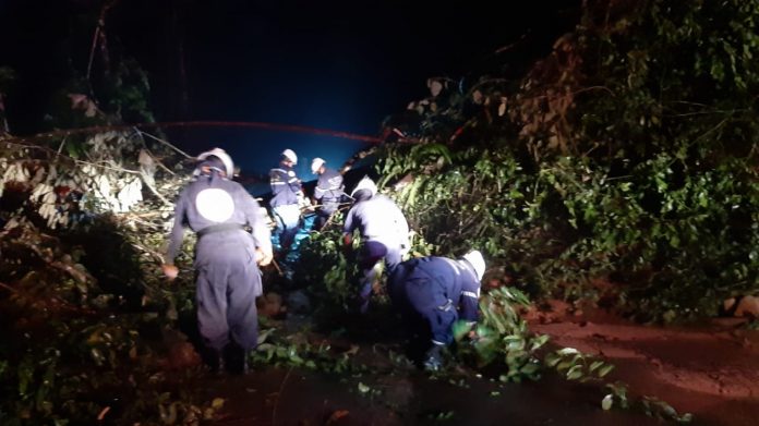 whatsapp-image-2020-10-23-at-10-06-52-am