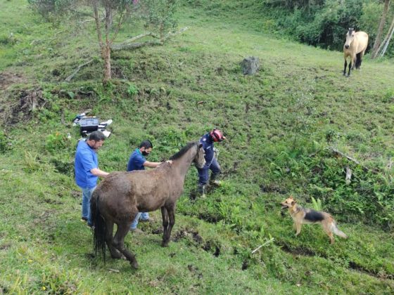 129100298 3221631457948437 7550247469427142098 n