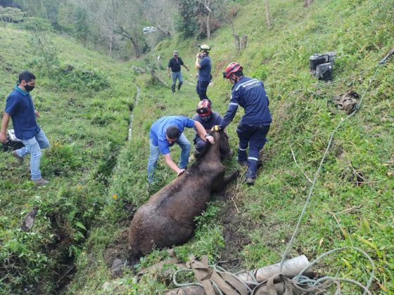 129342164 3221631364615113 5248696248639231589 n