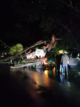 WhatsApp Image 2021 01 14 at 7.29.25 AM 1