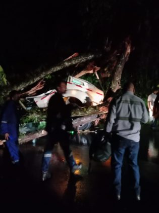 WhatsApp Image 2021 01 14 at 7.29.27 AM