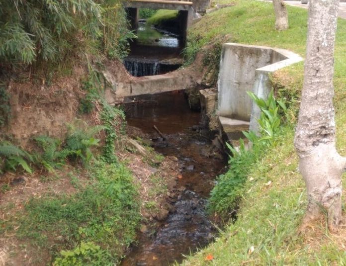 whatsapp-image-2020-03-03-at-10-13-22-am-2-1-780x600