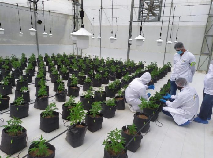 whatsapp-image-2021-04-09-at-11-29-34-am