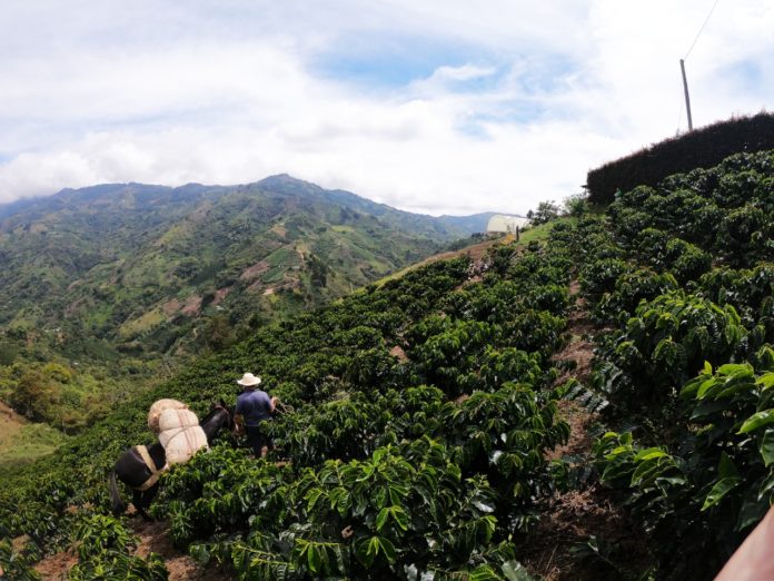 whatsapp-image-2021-05-05-at-2-32-07-pm