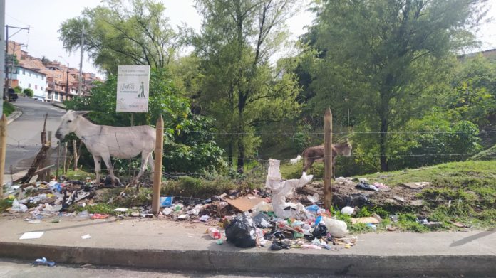 whatsapp-image-2021-06-21-at-1-13-53-pm