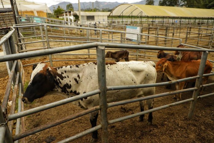 whatsapp-image-2021-07-01-at-5-48-57-pm