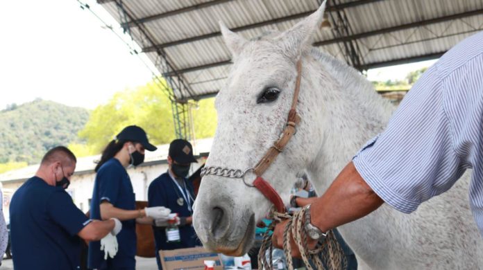 whatsapp-image-2021-07-23-at-11-18-22-am