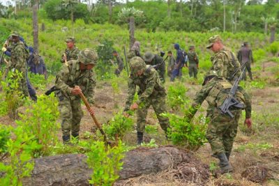 Erradicación de cultivos ilícitos de coca en Colombia.
