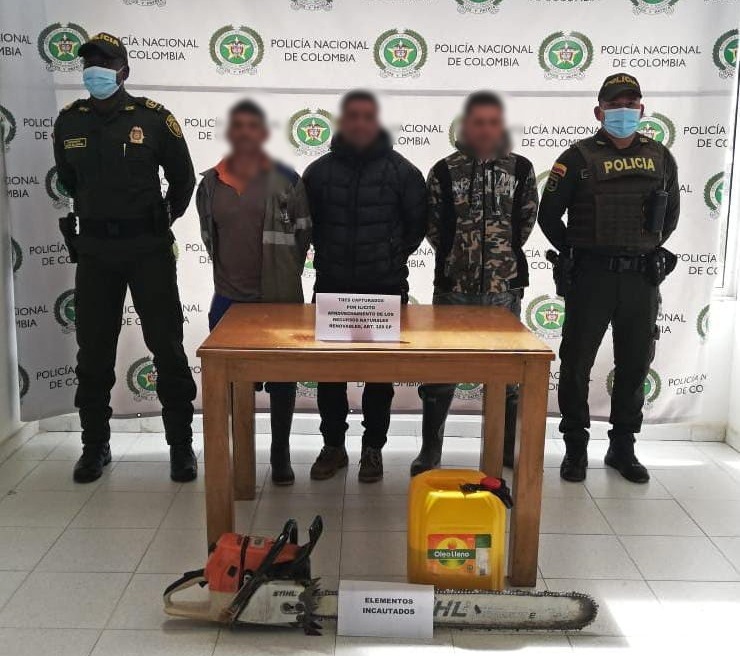 Tala-árboles-1-San-Vicente Tres personas capturadas por talar árboles en San Vicente.