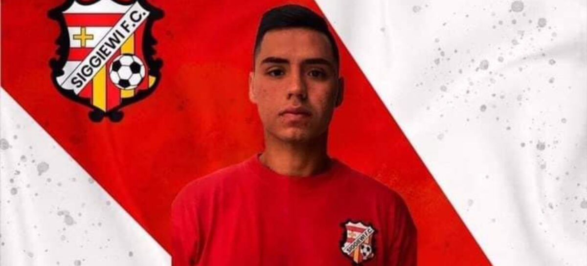 IMG_20220109_101231-1200x545_c