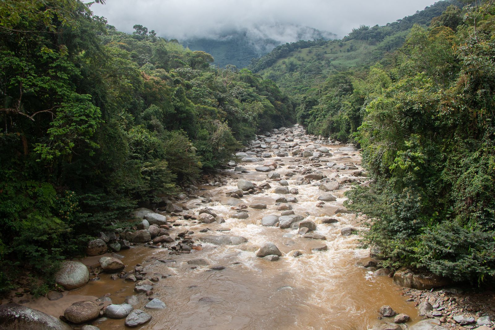 WhatsApp Image 2022-03-09 at 12.39.22 PM