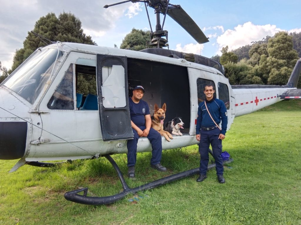 Dos caninos de Bomberos Rionegro recibieron certificación internacional en búsqueda de personas.