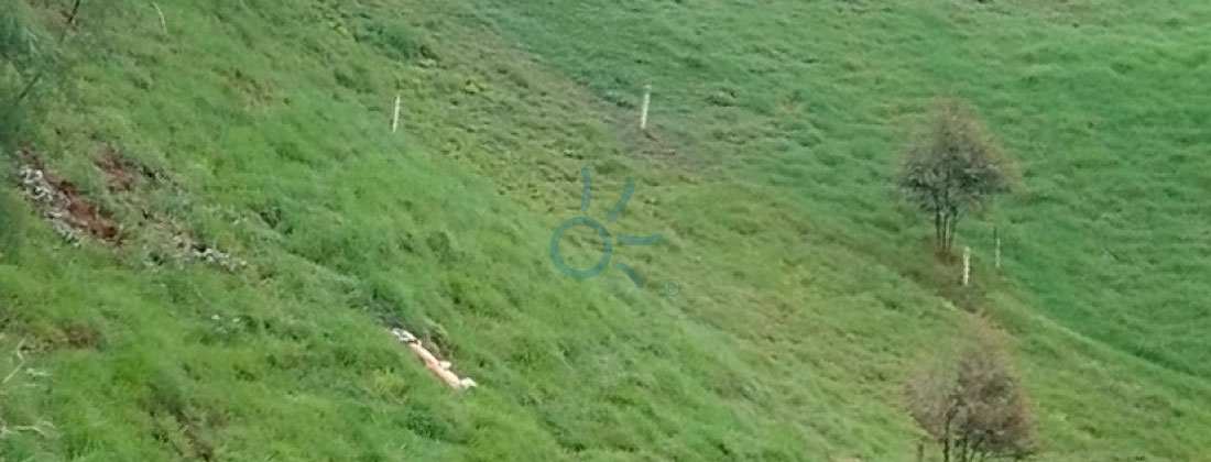 Web-dos cuerpos rionegro