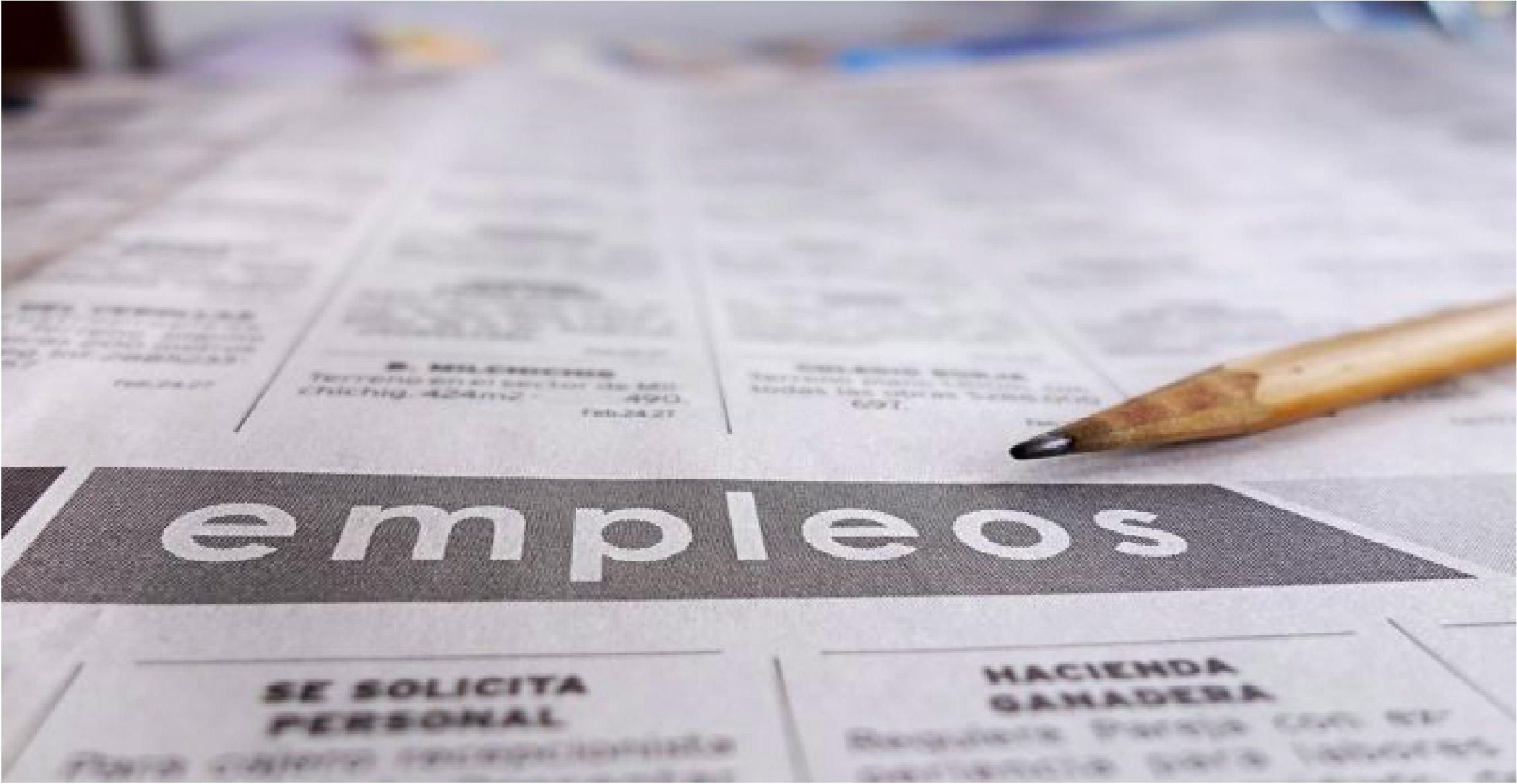 Web empleo busqueda de trabajo